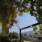 Panorama 3* Selcuk