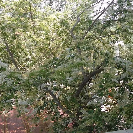 Panorama Hotel Selcuk