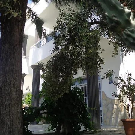 Panorama מלון