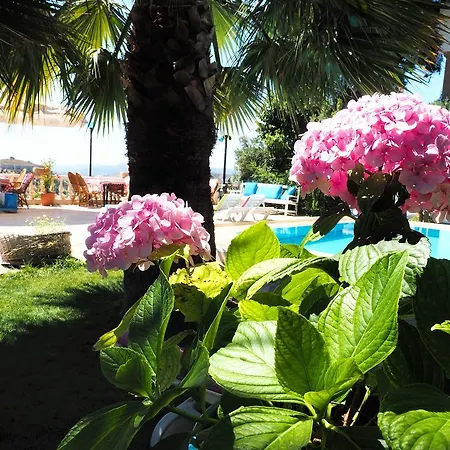 Guest house Villa Panorama Selcuk