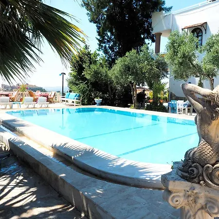 Guest house Villa Panorama *