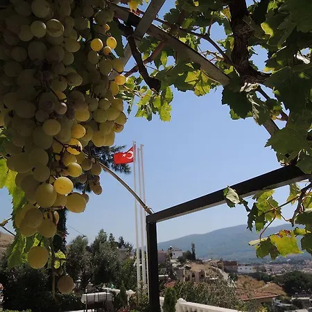 Panorama 3* סלצ'וק