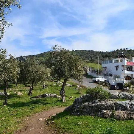 מלון Panorama 3*